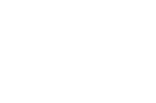 amigos